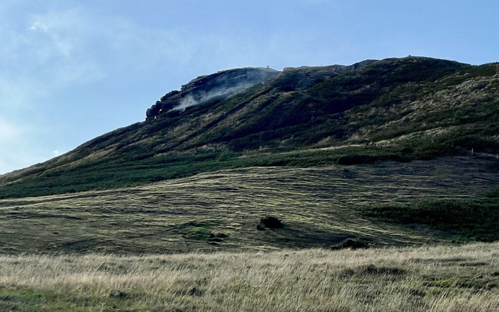 Grassland a few weeks after fire, green regrowth through blackened stubble