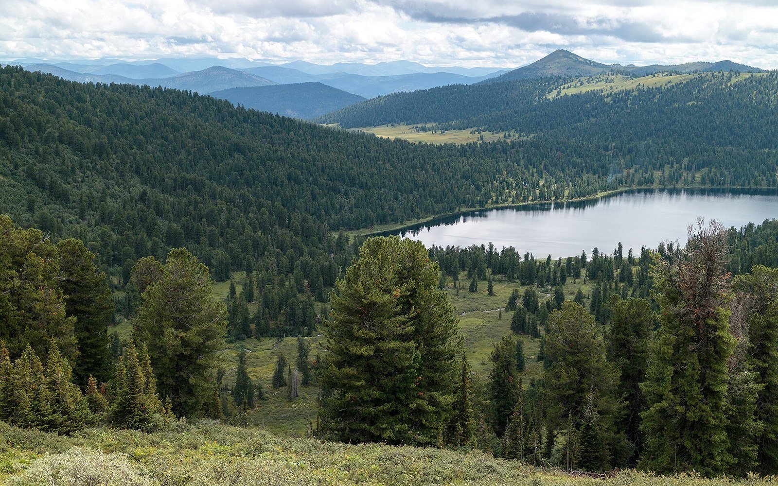 A forested valley with a lake nestled among rolling mountains under a cloudy sky