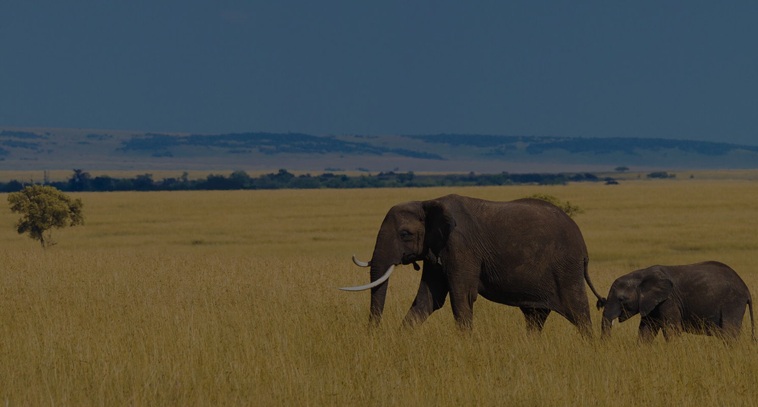 Unique Nature Habitats Beauty Of Nature Magazine