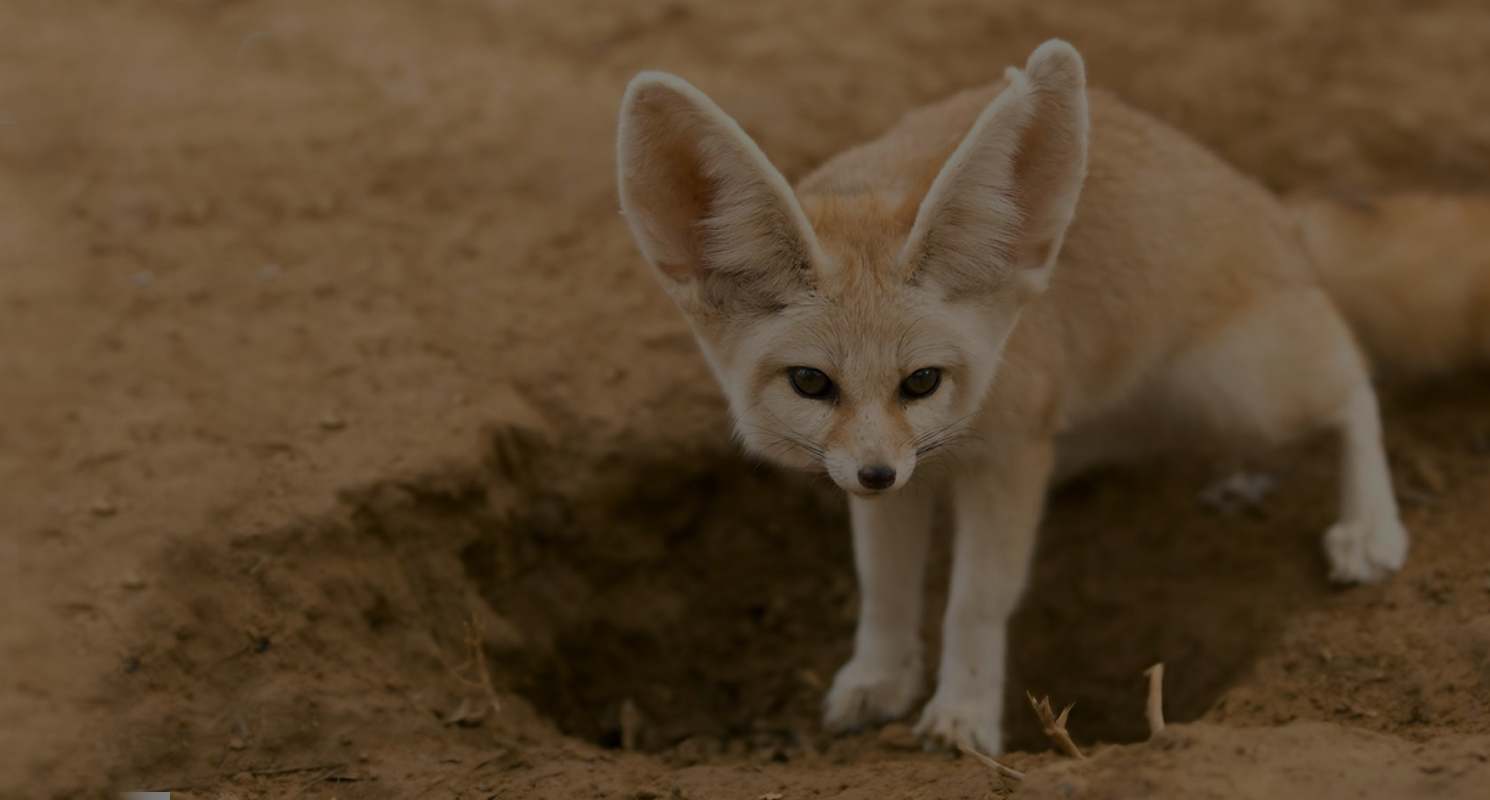 Unique Nature Habitats Beauty Of Nature Magazine